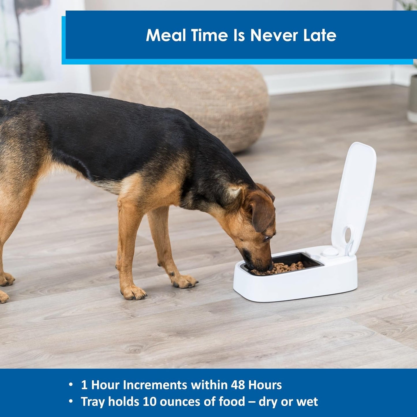 Pet Automatic Timed Feeder