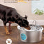 Dog 7L Stainless Steel Water Fountain Dispenser