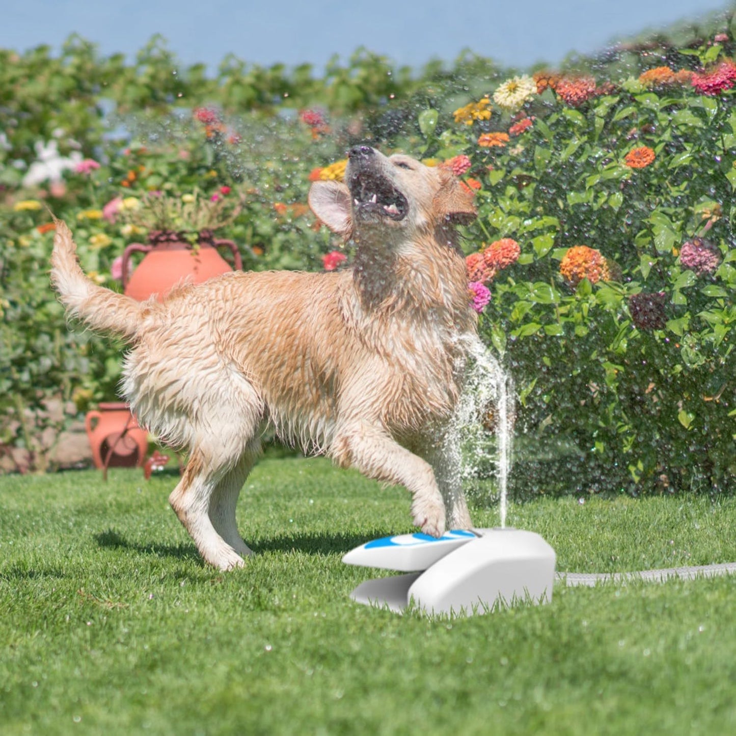 Dog Step On Paw Water Fountain