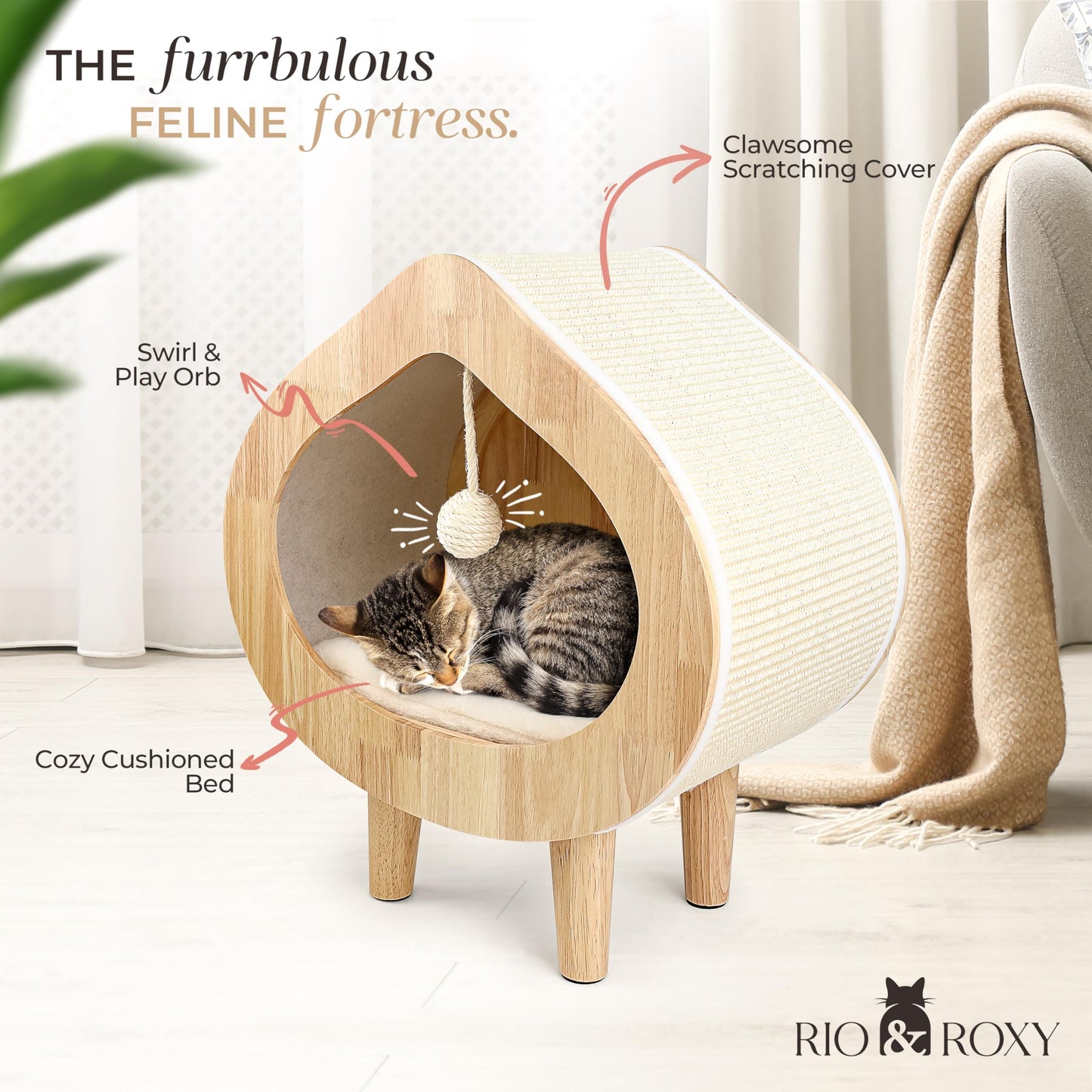 Cat Modern Luxury House Bed