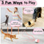 3 in 1 Interactive LED Feather Cat Toy