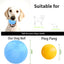 Smart Interactive Pet Ball With LED Lights