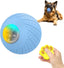 Smart Interactive Pet Ball With LED Lights