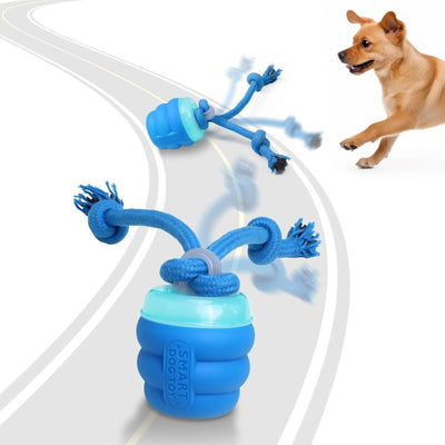 Dog Motion Activated Automatic Ball Toy