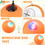 Smart Interactive Pet Ball With LED Lights