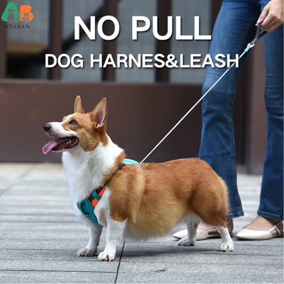 Retractable No-Pull Harness For Small Dogs