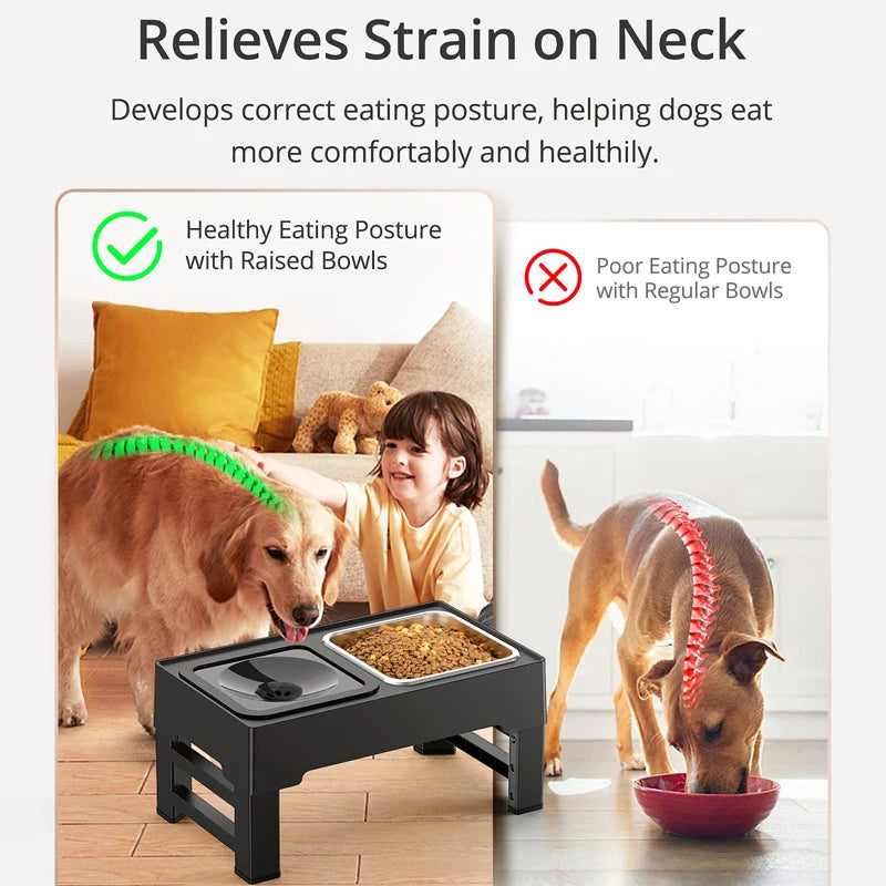 Dog Elevated Stand With Slow Feeder & No Spill Water Bowl