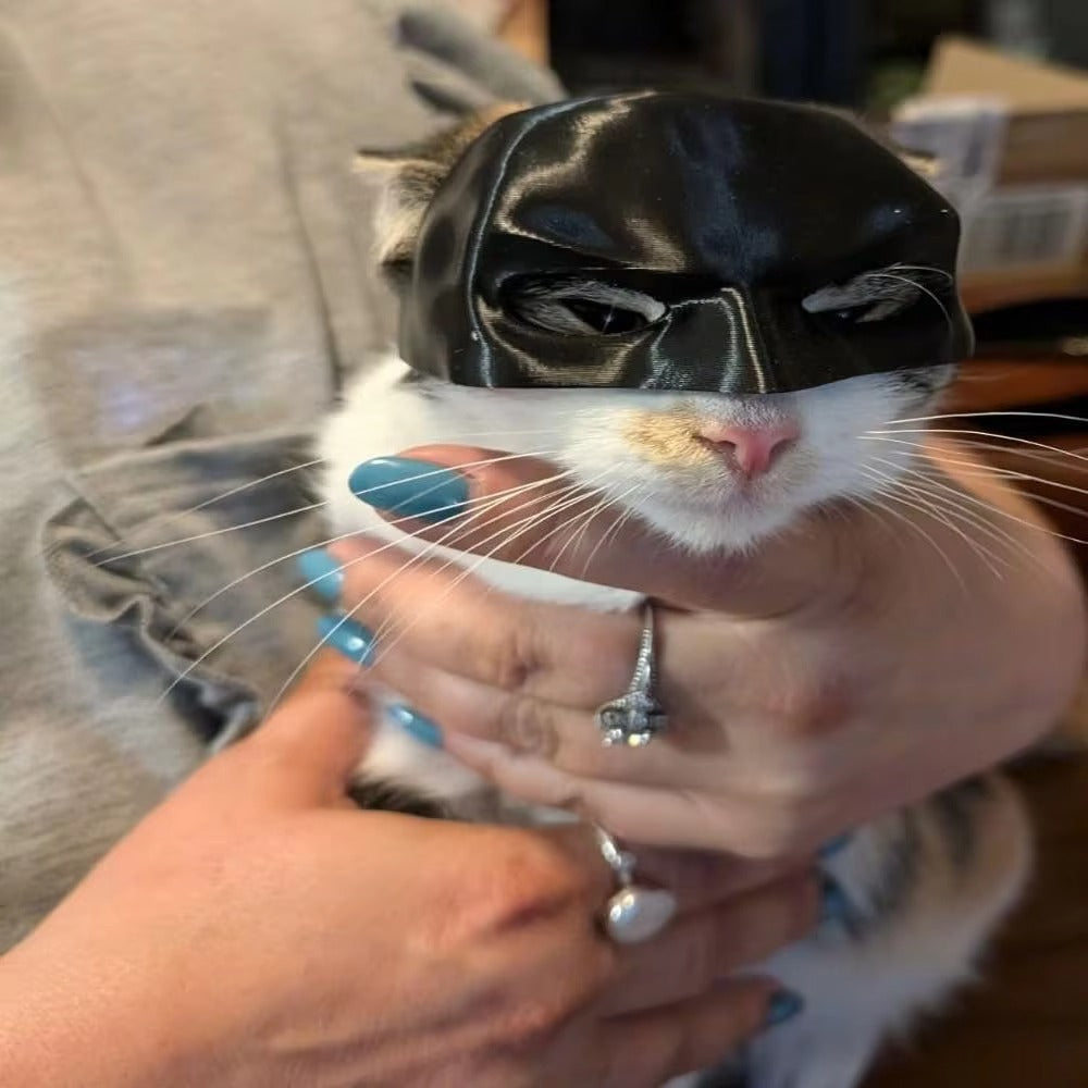 Cat Bat Mask Costume