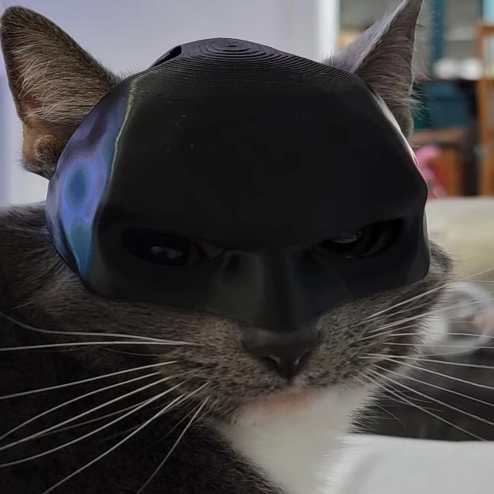 Cat Bat Mask Costume