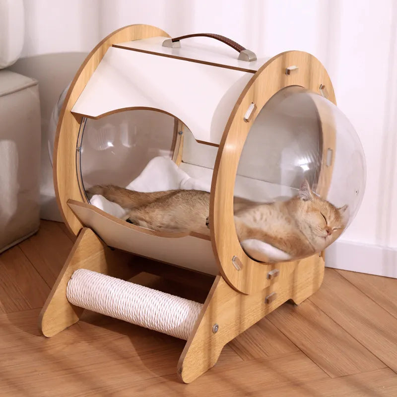 Cat Transparent Space Capsule Bed