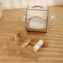 Cat Transparent Space Capsule Bed