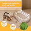 Cat Sisal Scratcher Lounge Bed