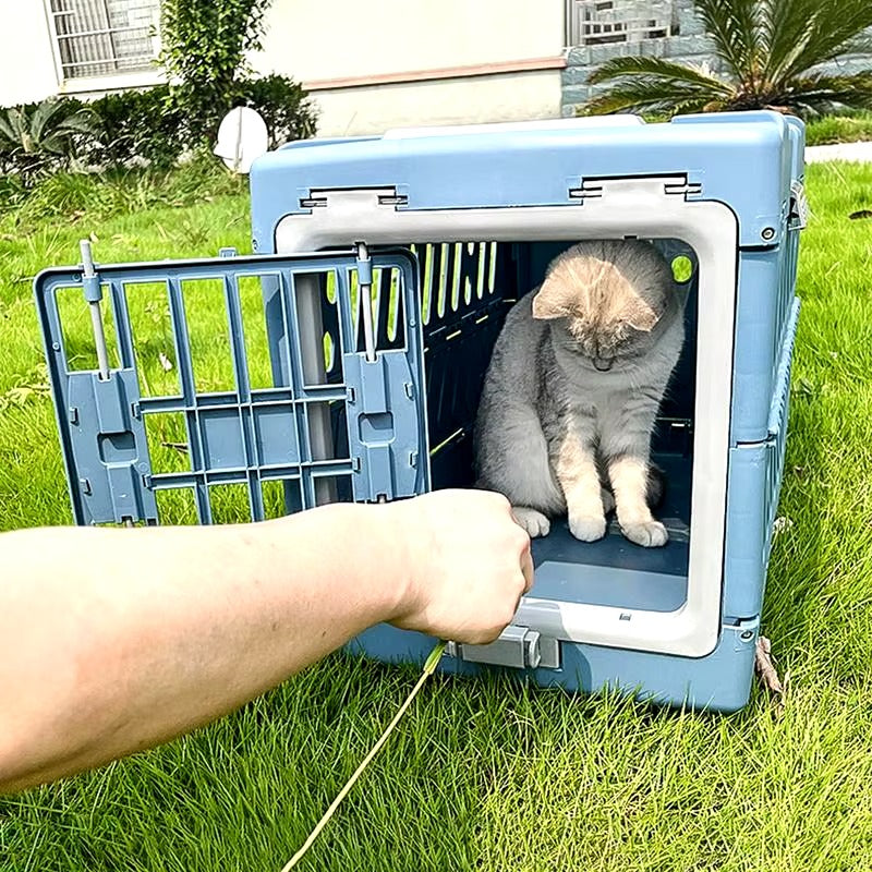 Pet Collapsible 360° Travel Crate