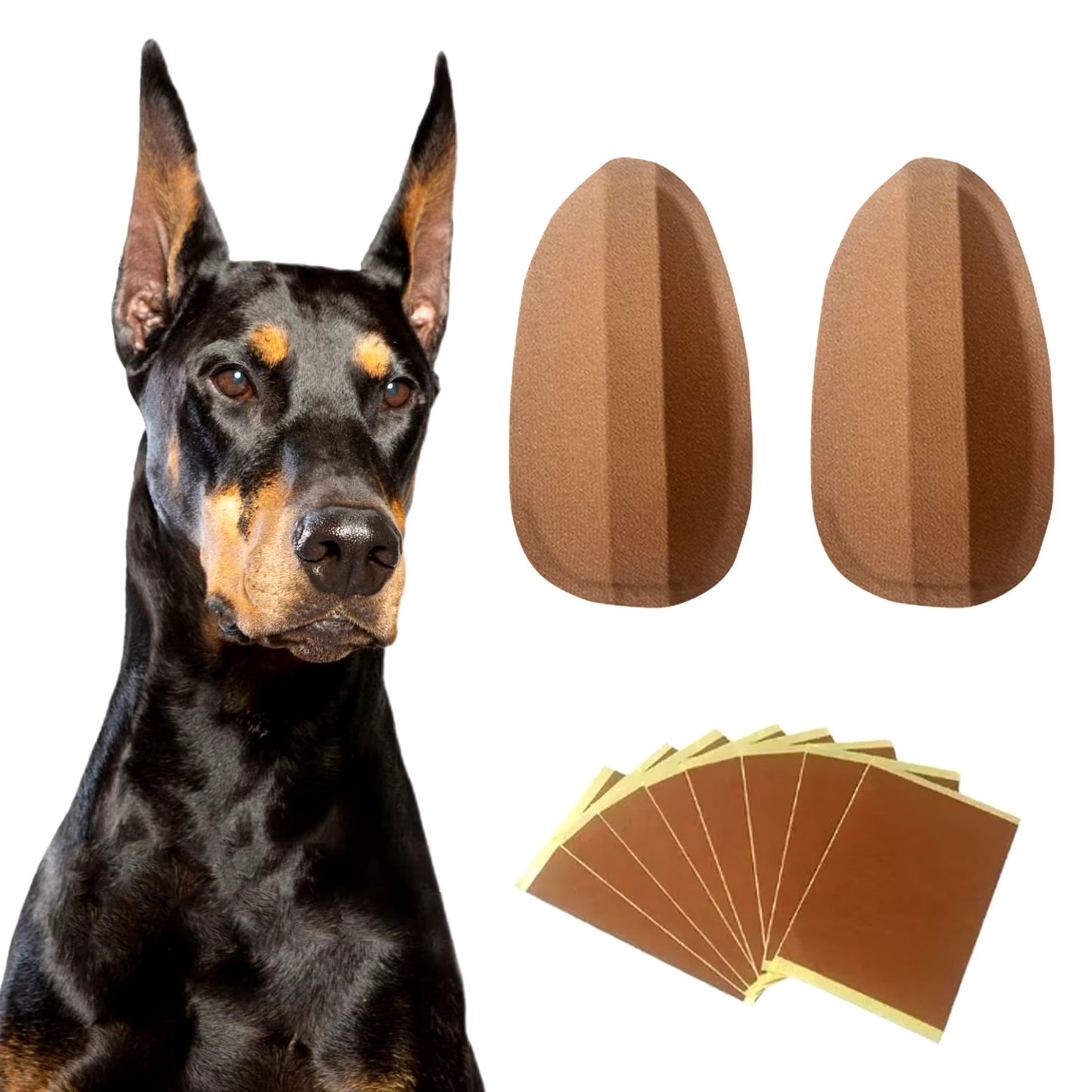 Dog Stand Up Ear Corrector