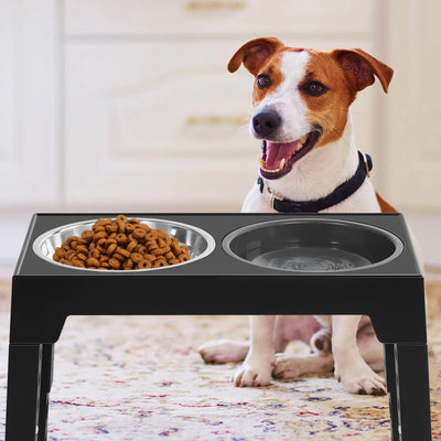 Dog Adjustable Height Stand + Bowl & No Spill Water Bowl