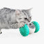 Pet Slow Feeder Treat Dispensing Toy