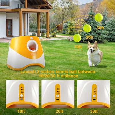 Dog Automatic Ball Launcher Machine