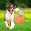 Smart Interactive Pet Ball With LED Lights