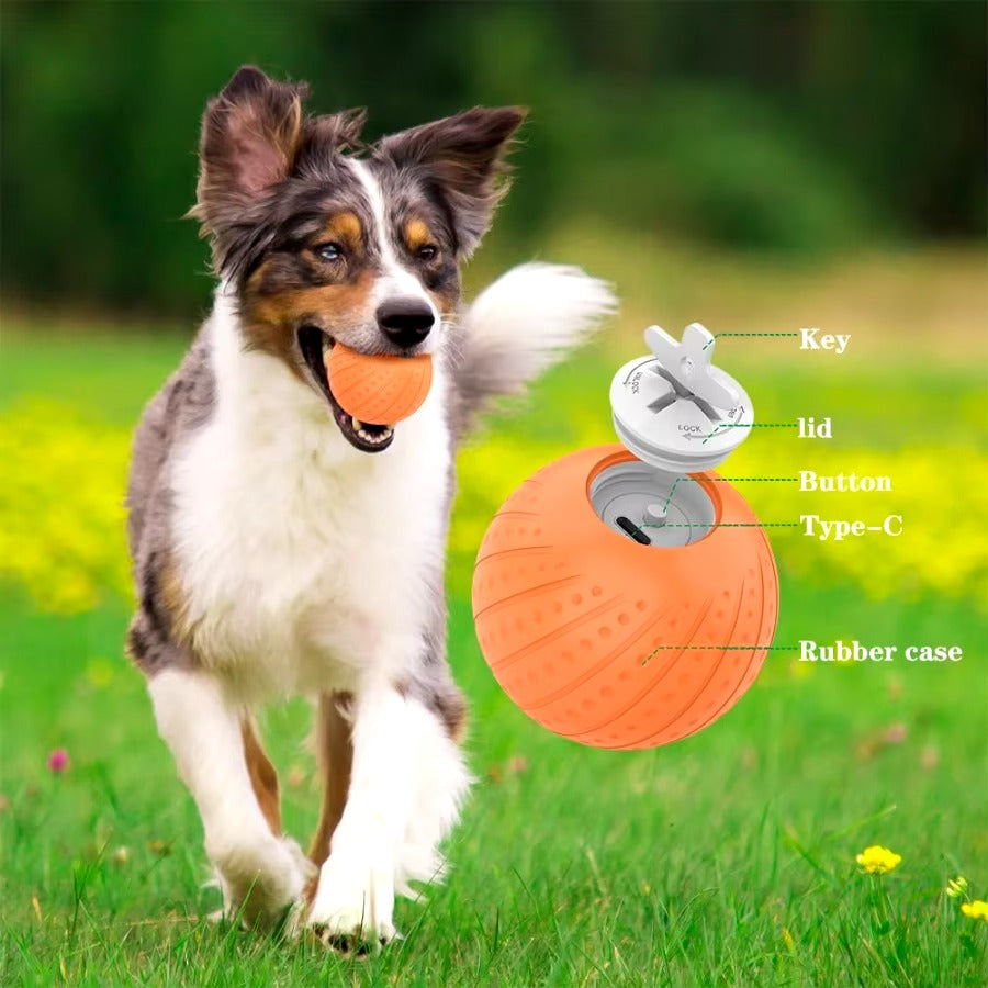 Smart Interactive Pet Ball With LED Lights