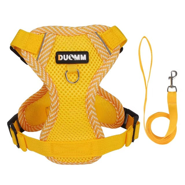 No Pull Reflective Harness & Leash For Small & Medium Dogs