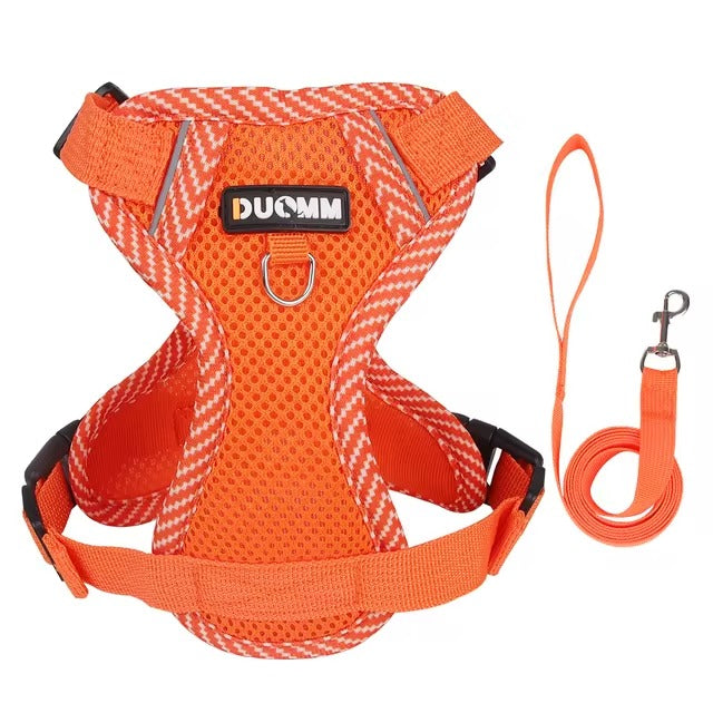 No Pull Reflective Harness & Leash For Small & Medium Dogs