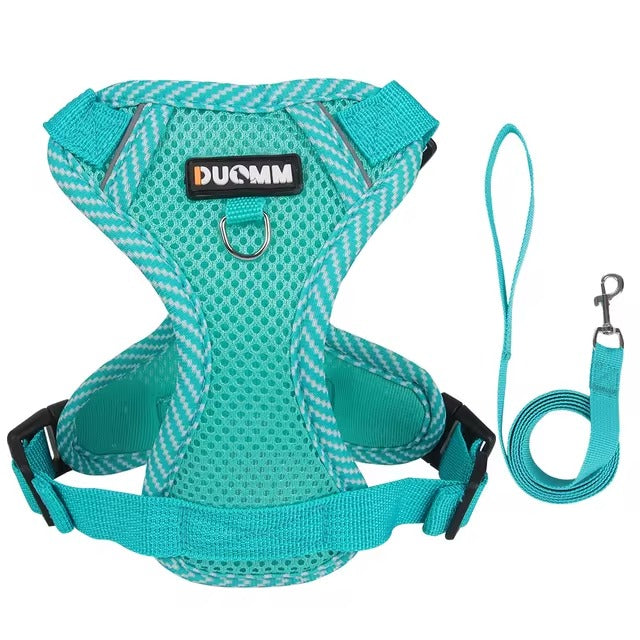 No Pull Reflective Harness & Leash For Small & Medium Dogs