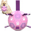 Dog Soccer Ball Toy With Straps