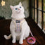 Pet Soft Harness & Leash Set