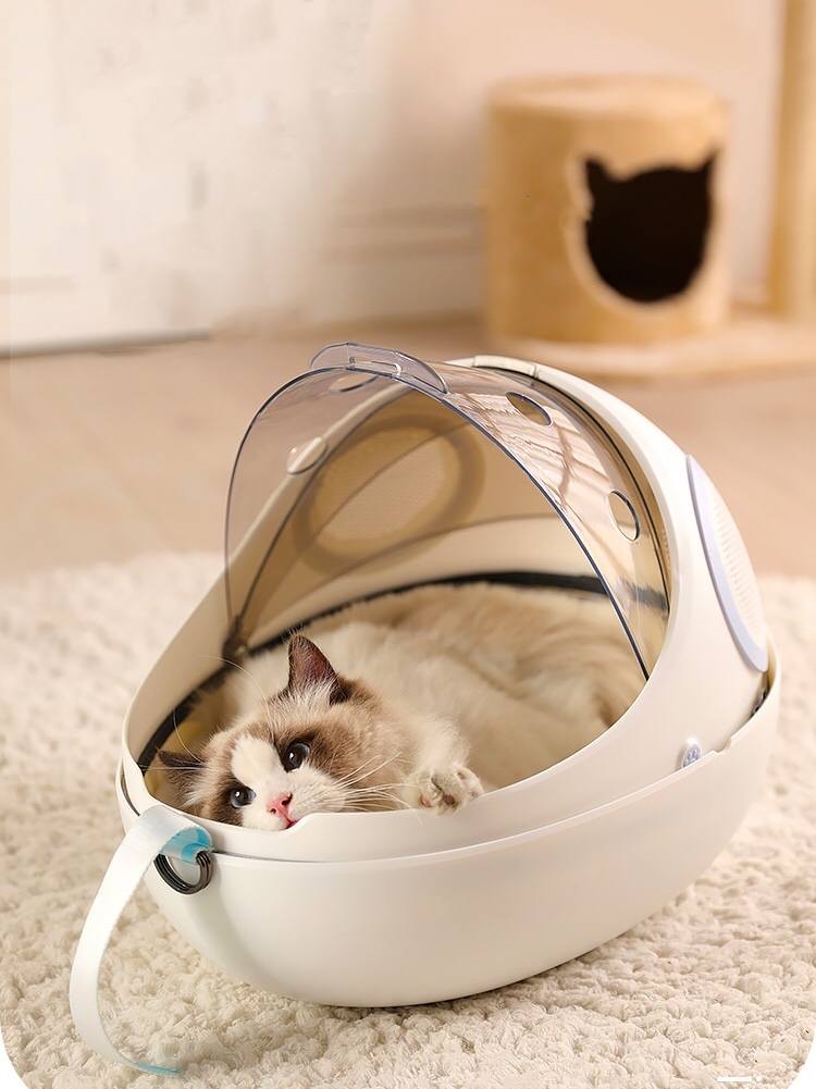 Cat Eggshell Transparent Space Capsule Backpack