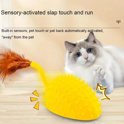 Cat Automatic Mouse Tail Feather Toy