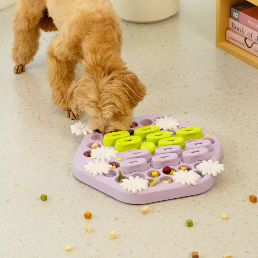 Pet IQ Training Puzzle Feeder Toy