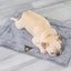 Pet Adjustable Temperature Heated Dog Pad