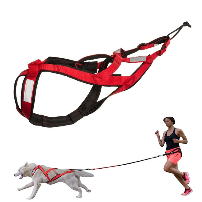 Dog Adjustable Chest Support Harness