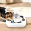 Cat Interactive Treat Dispenser Puzzle Toy