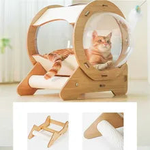 Cat Transparent Space Capsule Bed