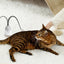 Cat Silicone Teaser Tail Toy