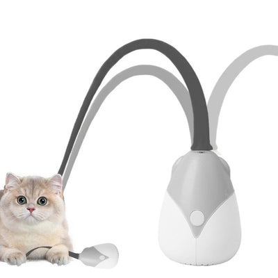 Cat Silicone Teaser Tail Toy