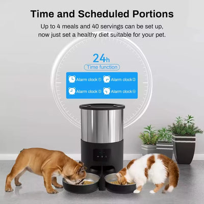 Pet 6L Stainless Steel Automatic Double Feeder