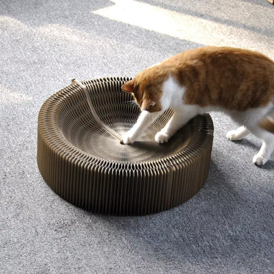 Cat Collapsible Scratcher Lounge Bed