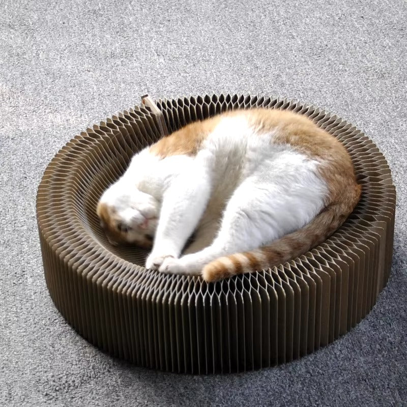 Cat Collapsible Scratcher Lounge Bed