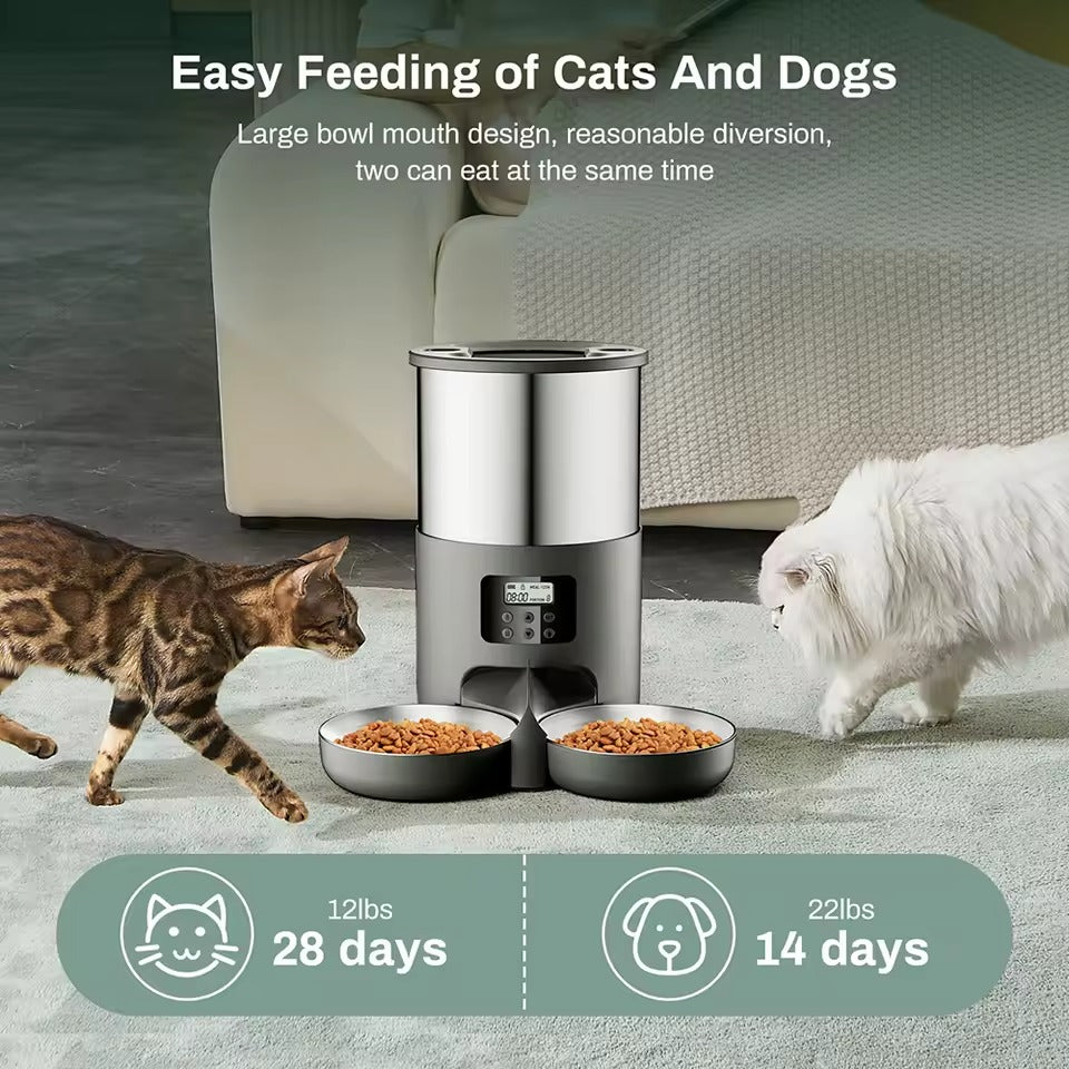 Pet 6L Stainless Steel Automatic Double Feeder