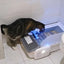 Cat Self-Cleaning Smart App Scoop Free Litter Box