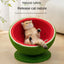 Cat Sisal Rope Bed & Scratcher