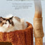 Cat Solid Climbing Tall Tree Tower Bed