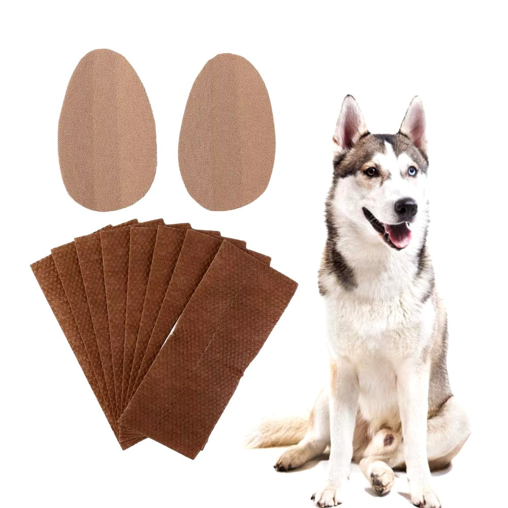 Dog Stand Up Ear Corrector