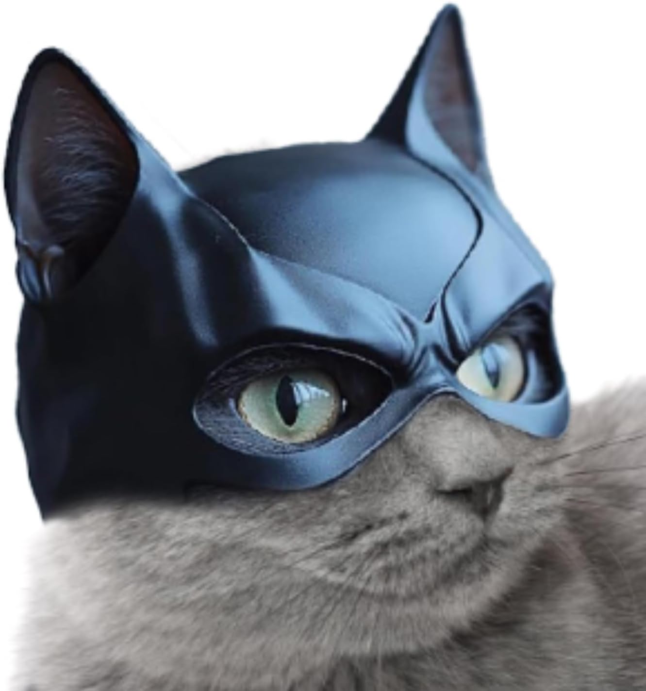 Cat Bat Mask Costume