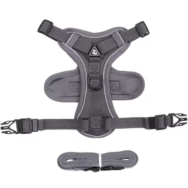 Cat Heavy Duty Harness & Leash Set