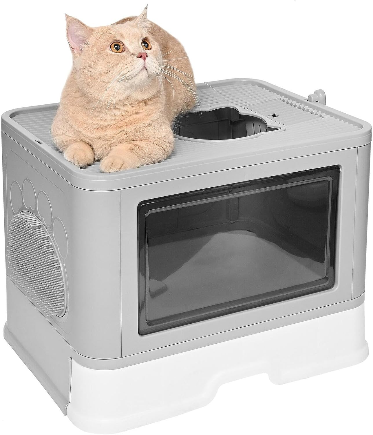 Cat Enclosed Large Litter Box