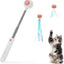 Retractable Cat Wand Laser Light Toy