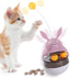 Cat Food Treat Dispenser Ball Toy